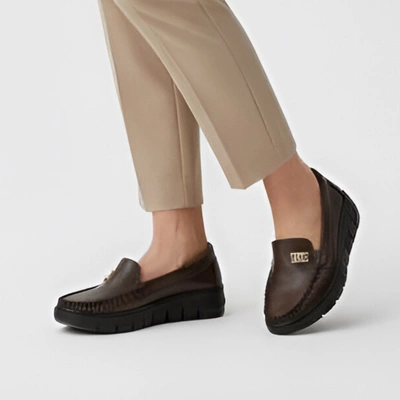 Halbschuhe ARMODO - 10167 S.Czekolada+Zł